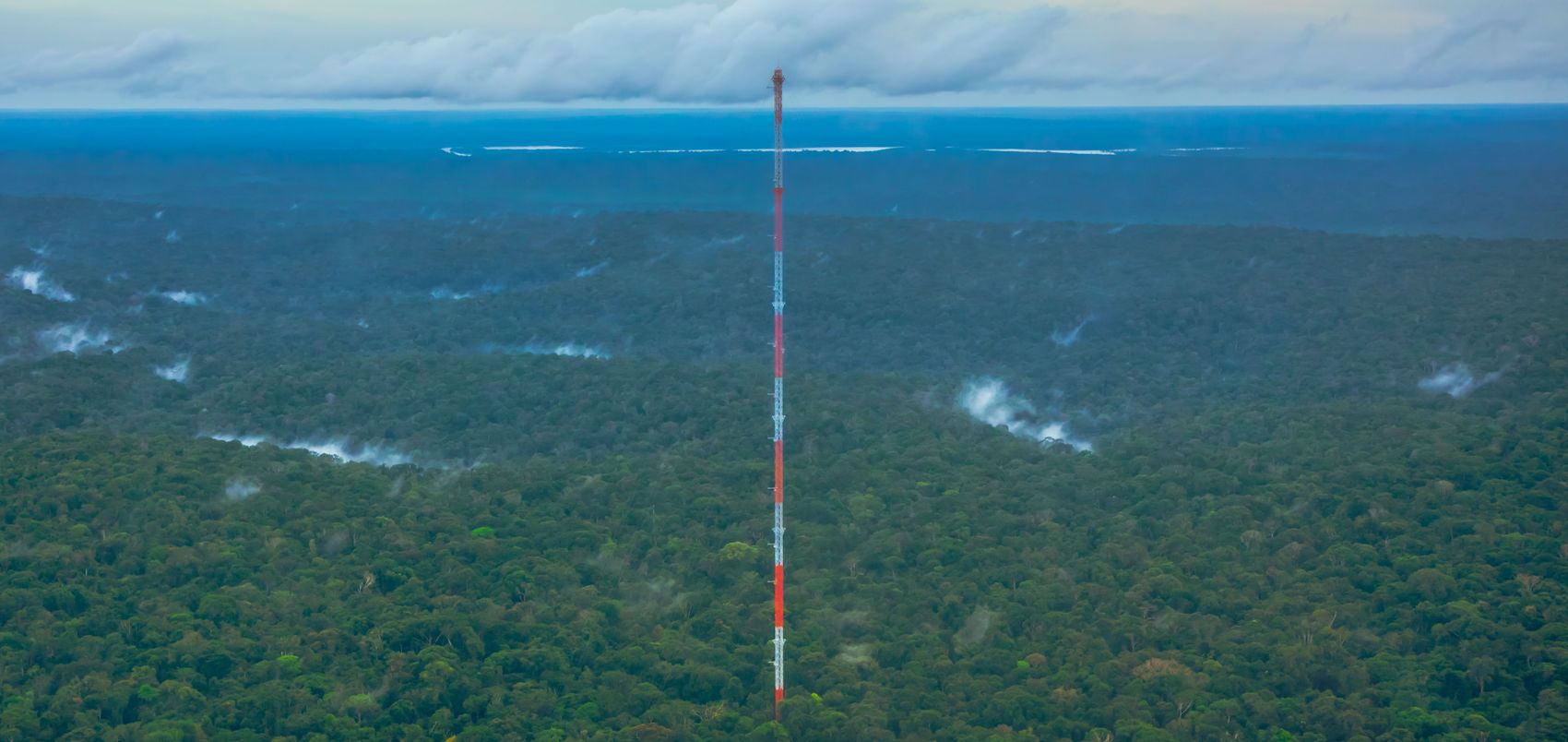 The 325-metre Amazon Tall Tower Observatory rises out of the rainforest canopy, with low mist over the trees and a line of clouds on the horizon