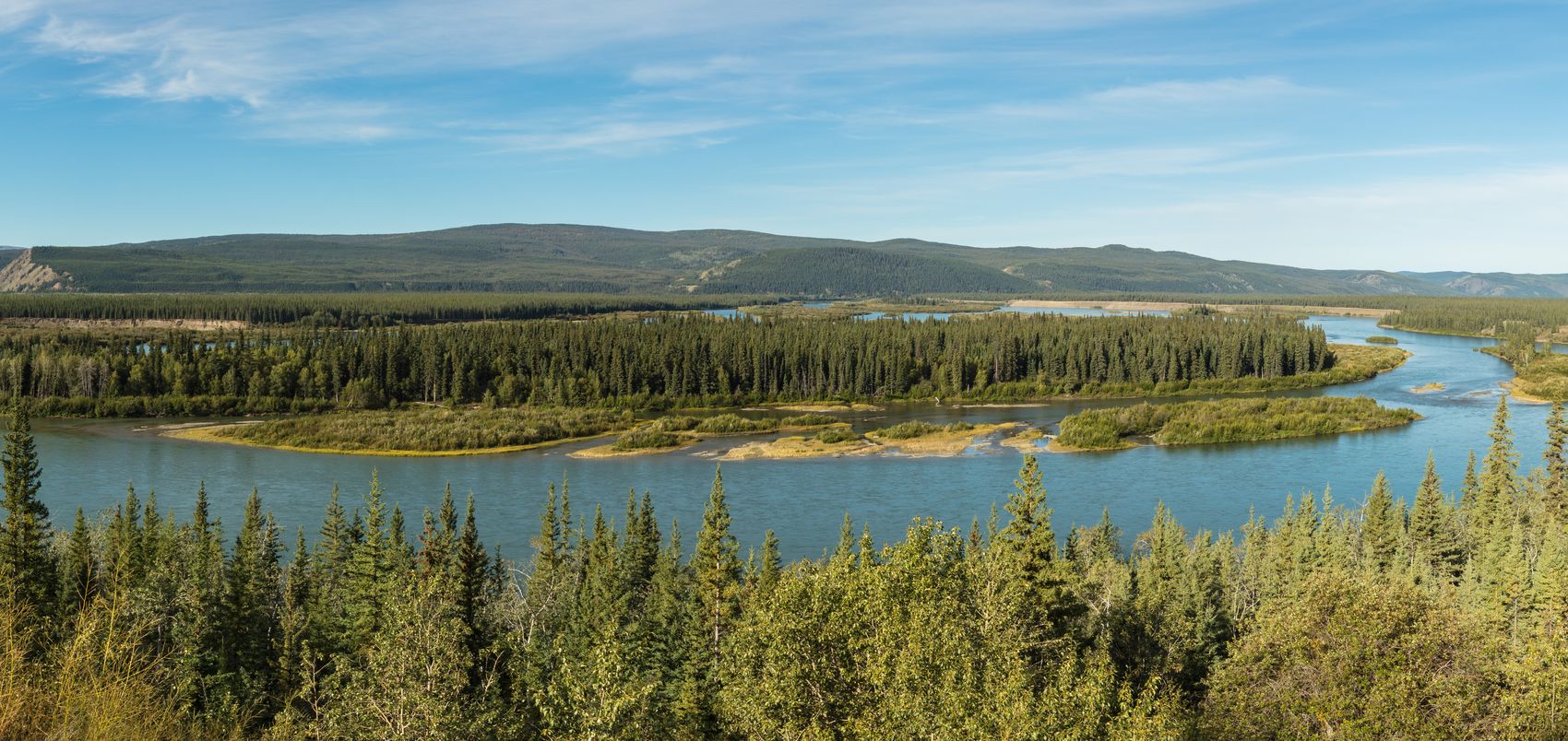 The Yukon River winds around forested islands and gravel bars through boreal spruce forest near Carmacks, Yukon, Canada
