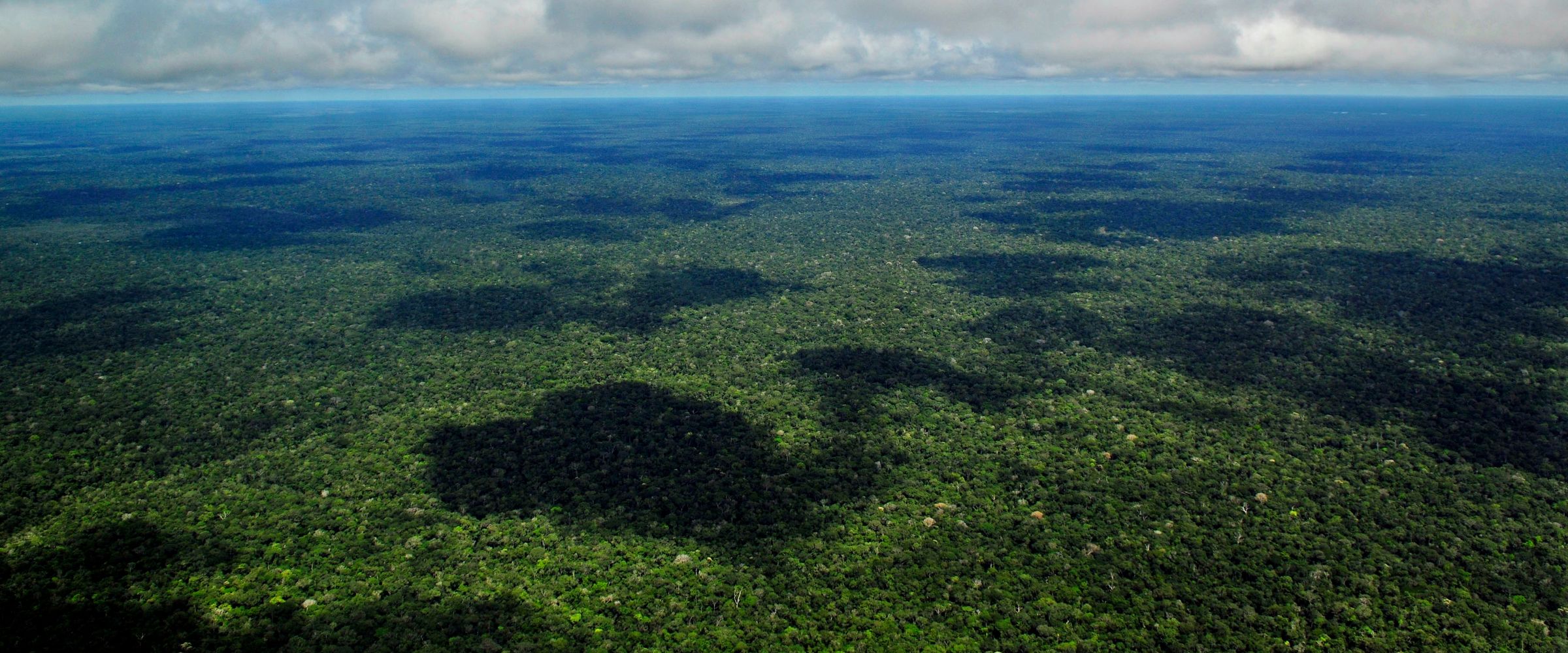 Aerial view of unbroken Amazon rainforest with cloud shadows stretching towards the horizon near Manaus, Brazil